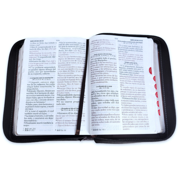 Biblia RVR1960 Entusiasmo cafe marron im piel cierre índice 11pt LGi PRJ - Image 2