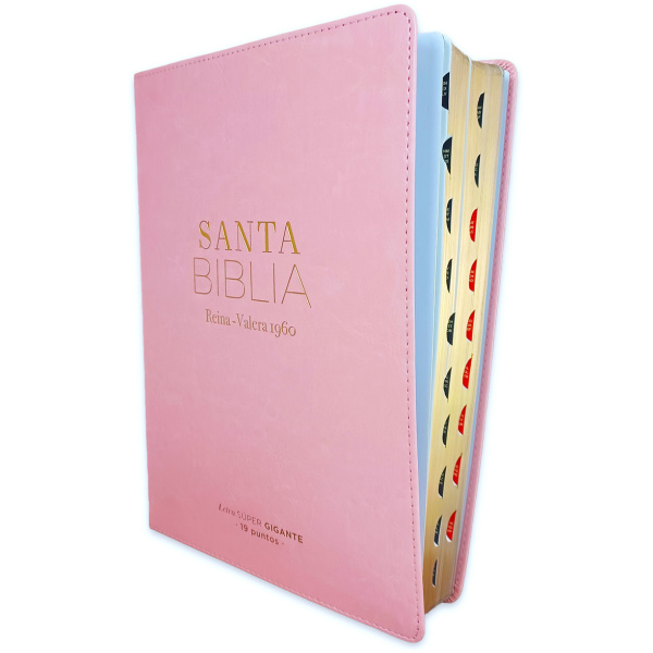 Biblia RVR1960 Clasica sup gig rosa im piel índice 19pt