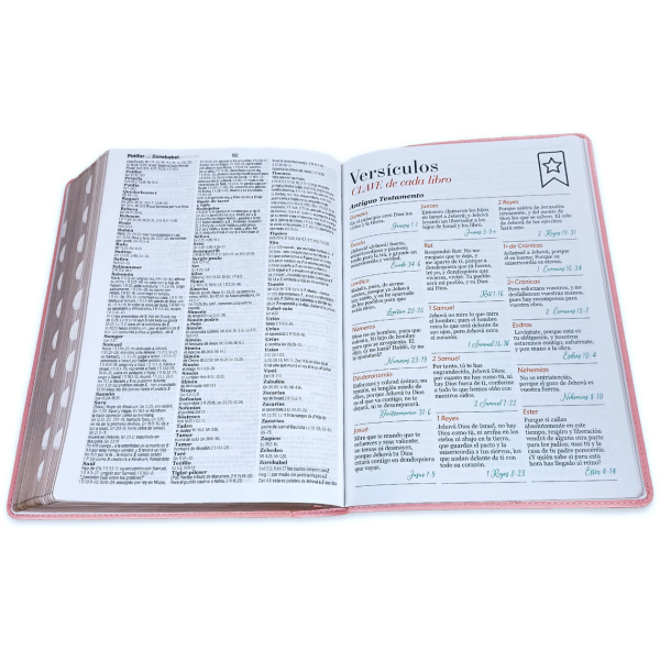 Biblia RVR1960 Clasica sup gig rosa im piel índice 19pt - Image 3