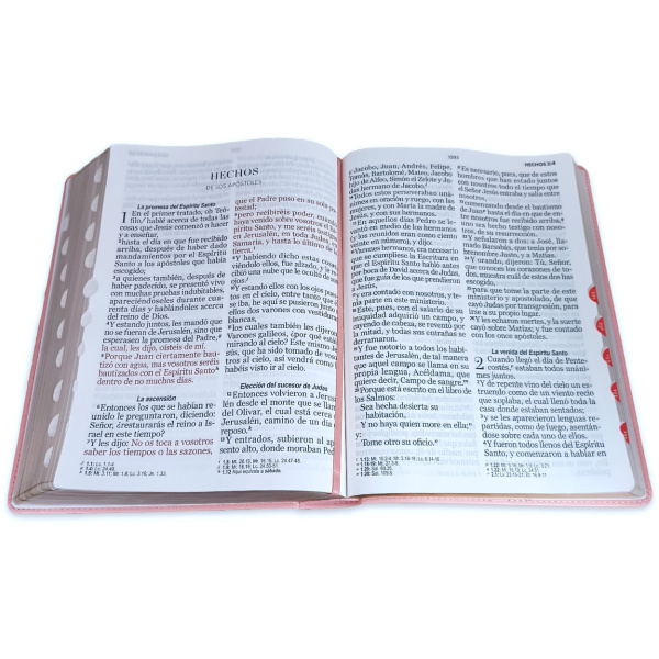 Biblia RVR1960 Clasica sup gig rosa im piel índice 19pt - Image 2