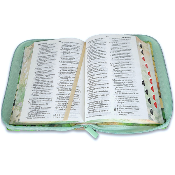 Biblia RVR1960 fortaleza vintage primavera c/p im piel índice cierre 10pt - Image 4