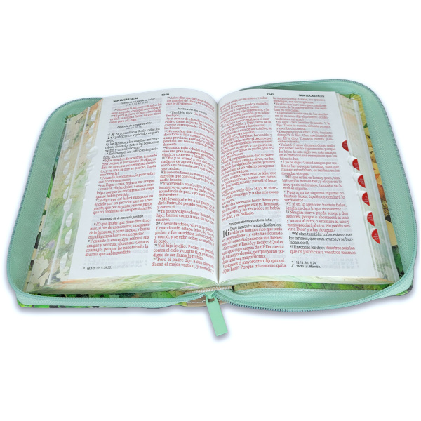 Biblia RVR1960 fortaleza vintage primavera c/p im piel índice cierre 10pt - Image 3