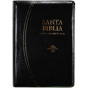 Biblia RVR1960 chica negro 11pt RVR046cZTILSGi