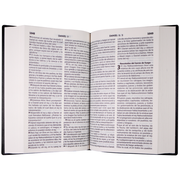 Biblia RVR1960 mediana l gde vinil azul RVR062CLG - Image 2