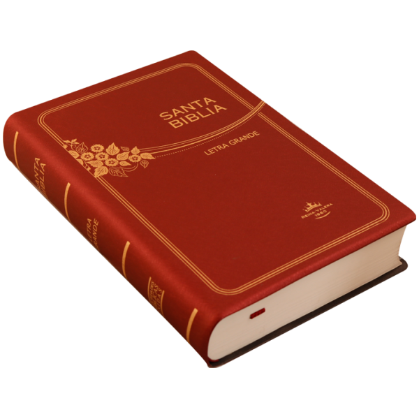 Biblia RVR1960 mediana l gde vinil vino RVR062CLG - Image 4