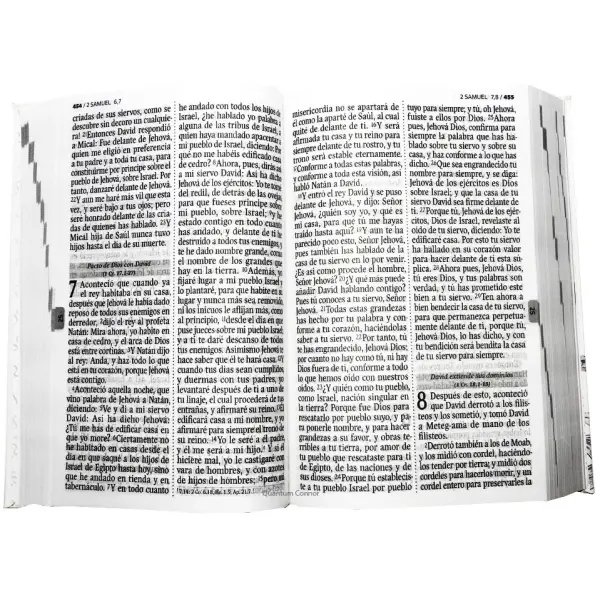Biblia RVR1960 mediana lt grande blanco QR 12pt RVR062LGPJR - Image 3