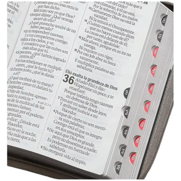 Biblia RVR1960 Agora Tech dot negro/gris/beige im piel índice cierre 19pt - Image 4