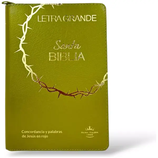 Biblia RVR1960 mediana l gde covertex verde 12pt RVR.6cLGPJR