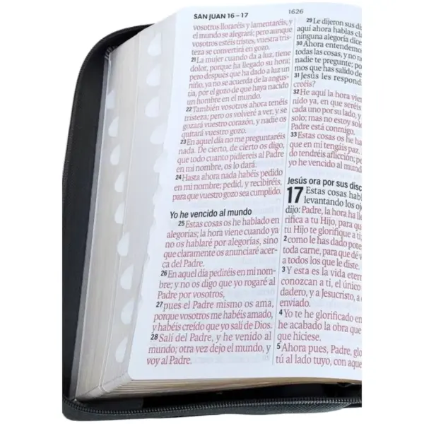 Biblia RVR1960 Agora Tech dot cafe/miel/beige im piel índice cierre 19pt - Image 3