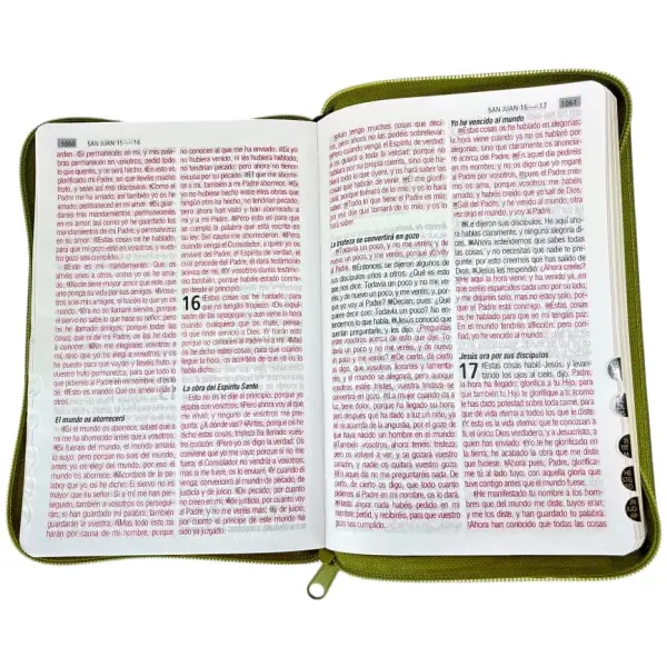 Biblia RVR1960 mediana l gde covertex verde 12pt RVR.6cLGPJR - Image 4