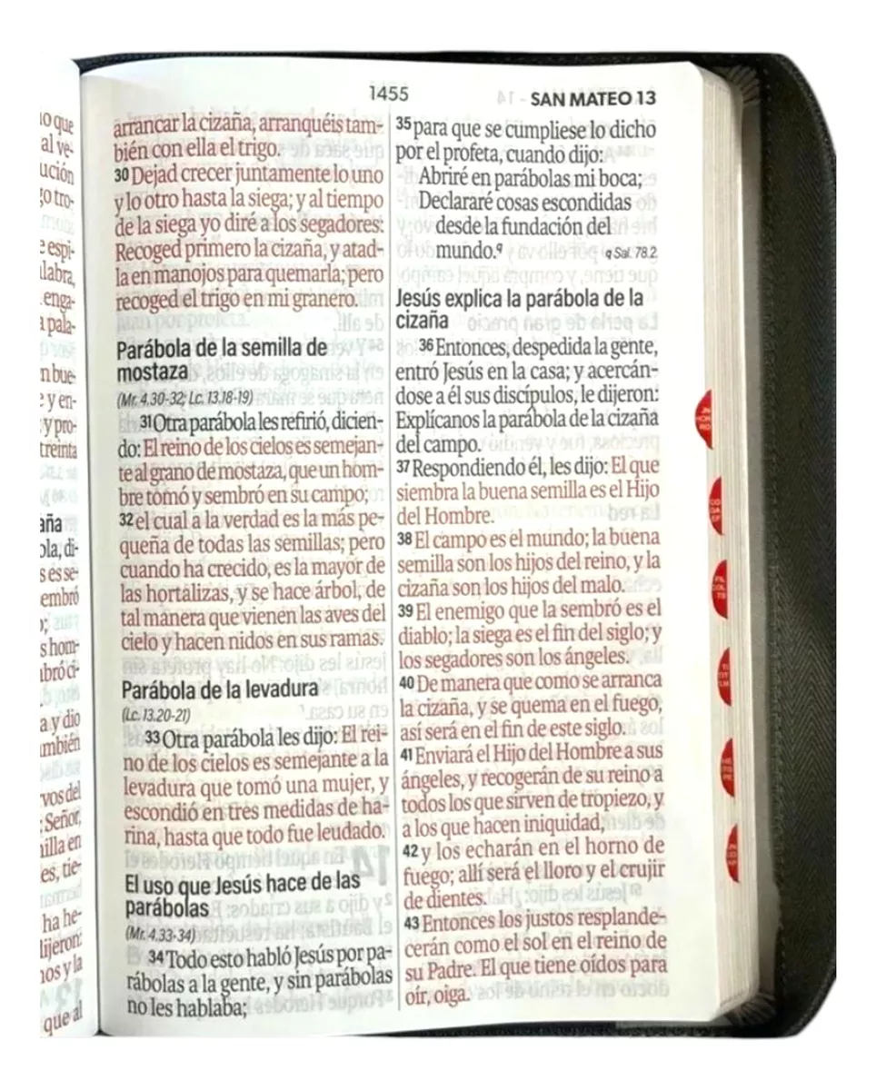 Biblia RVR1960 Agora Tech dot cafe/miel/beige im piel índice cierre 19pt
