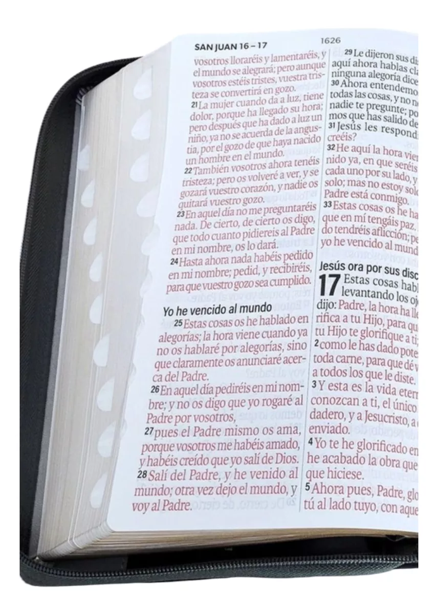 Biblia RVR1960 Agora Tech dot cafe/miel/beige im piel índice cierre 19pt