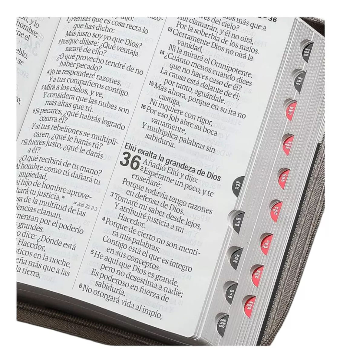 Biblia RVR1960 Agora Tech dot negro/gris/beige im piel índice cierre 19pt