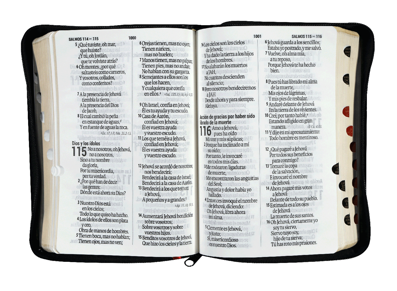 Biblia RVR1960 chica negro 11pt RVR046cZTILSGi