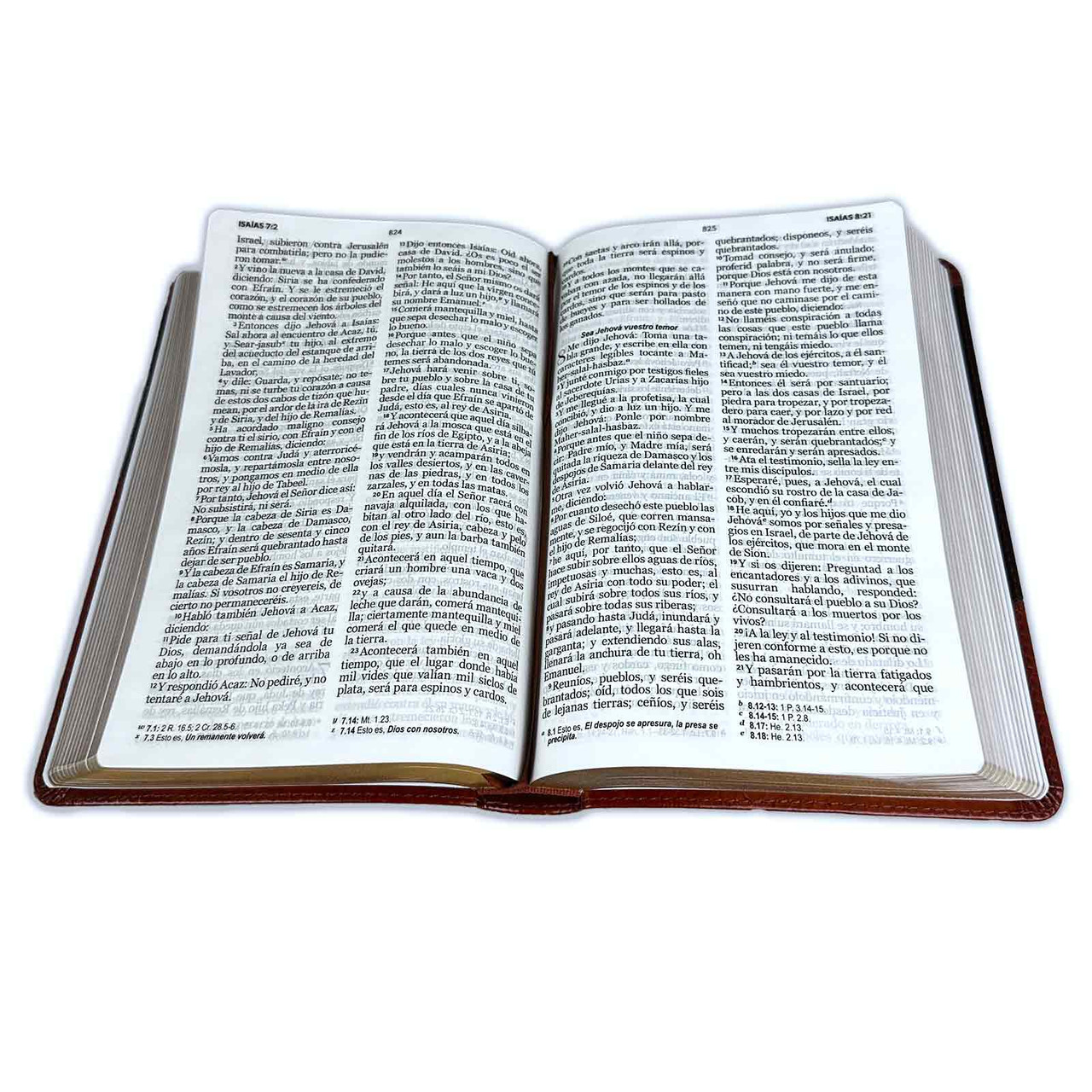 Biblia RVR1960 Clasica bitono marron/marr im piel 12.5pt 065PJR vs