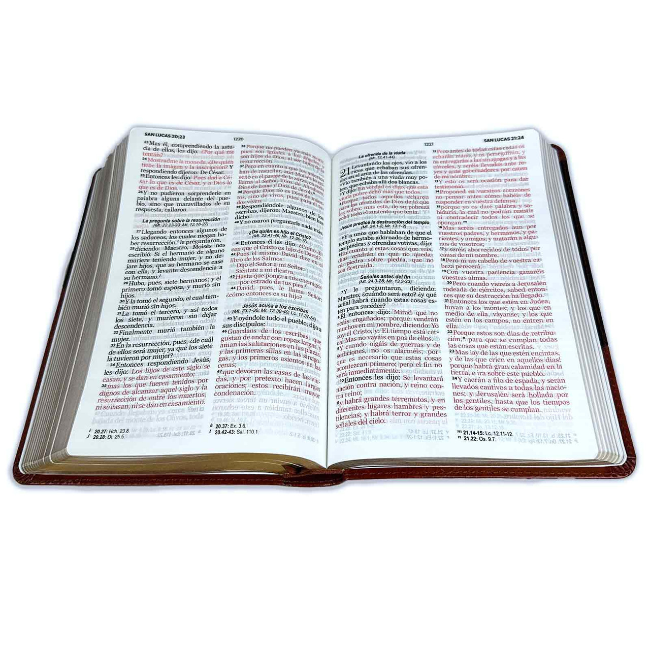 Biblia RVR1960 Clasica bitono marron/marr im piel 12.5pt 065PJR vs