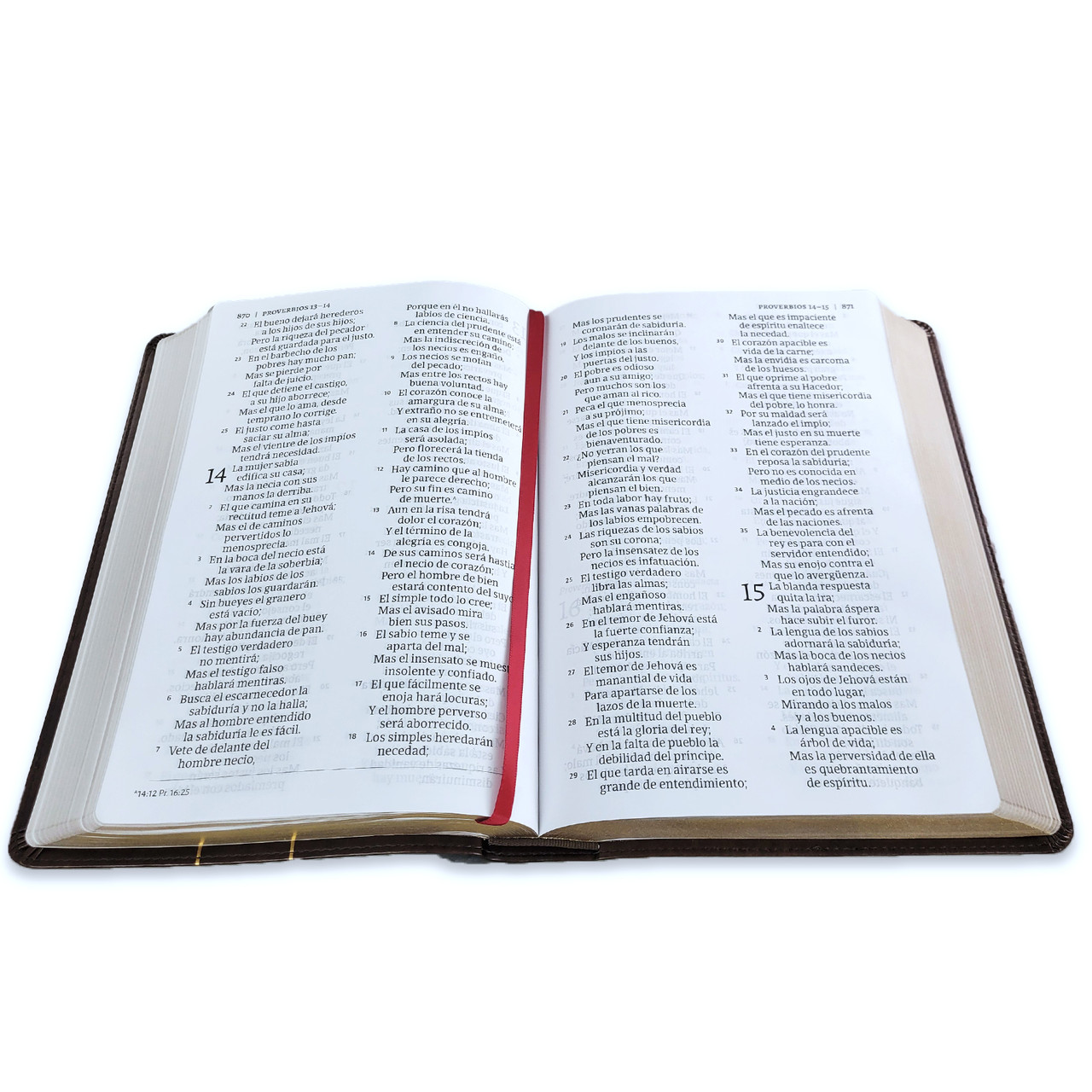 Biblia RVR1960 de credos y confesiones cafe tapa dura 14pt