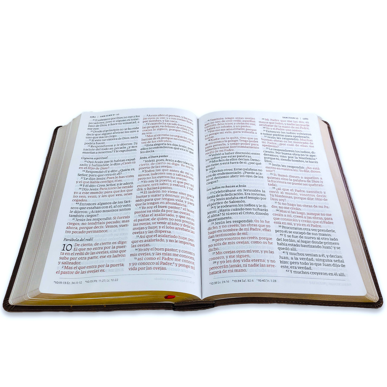 Biblia RVR1960 de credos y confesiones cafe tapa dura 14pt