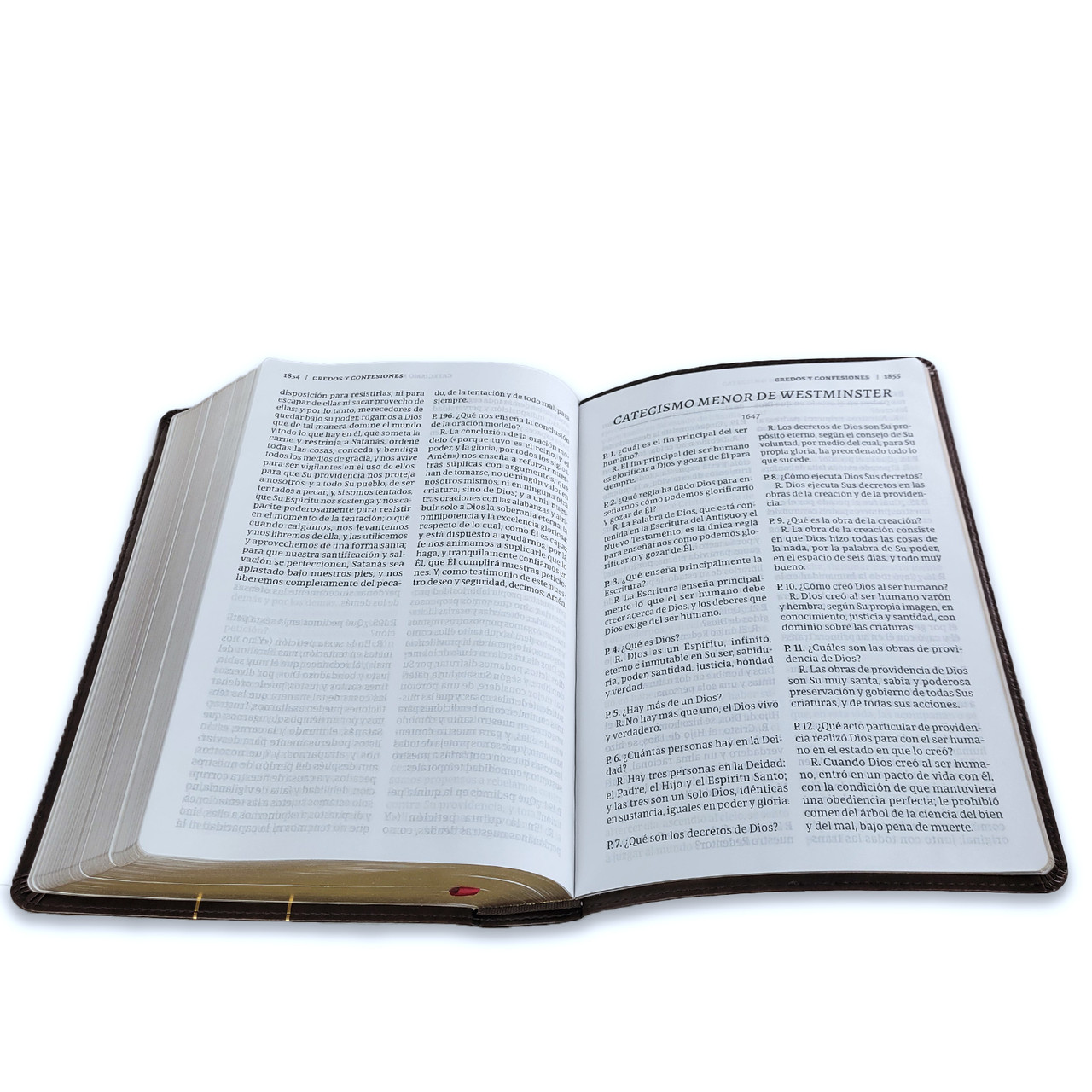 Biblia RVR1960 de credos y confesiones cafe tapa dura 14pt