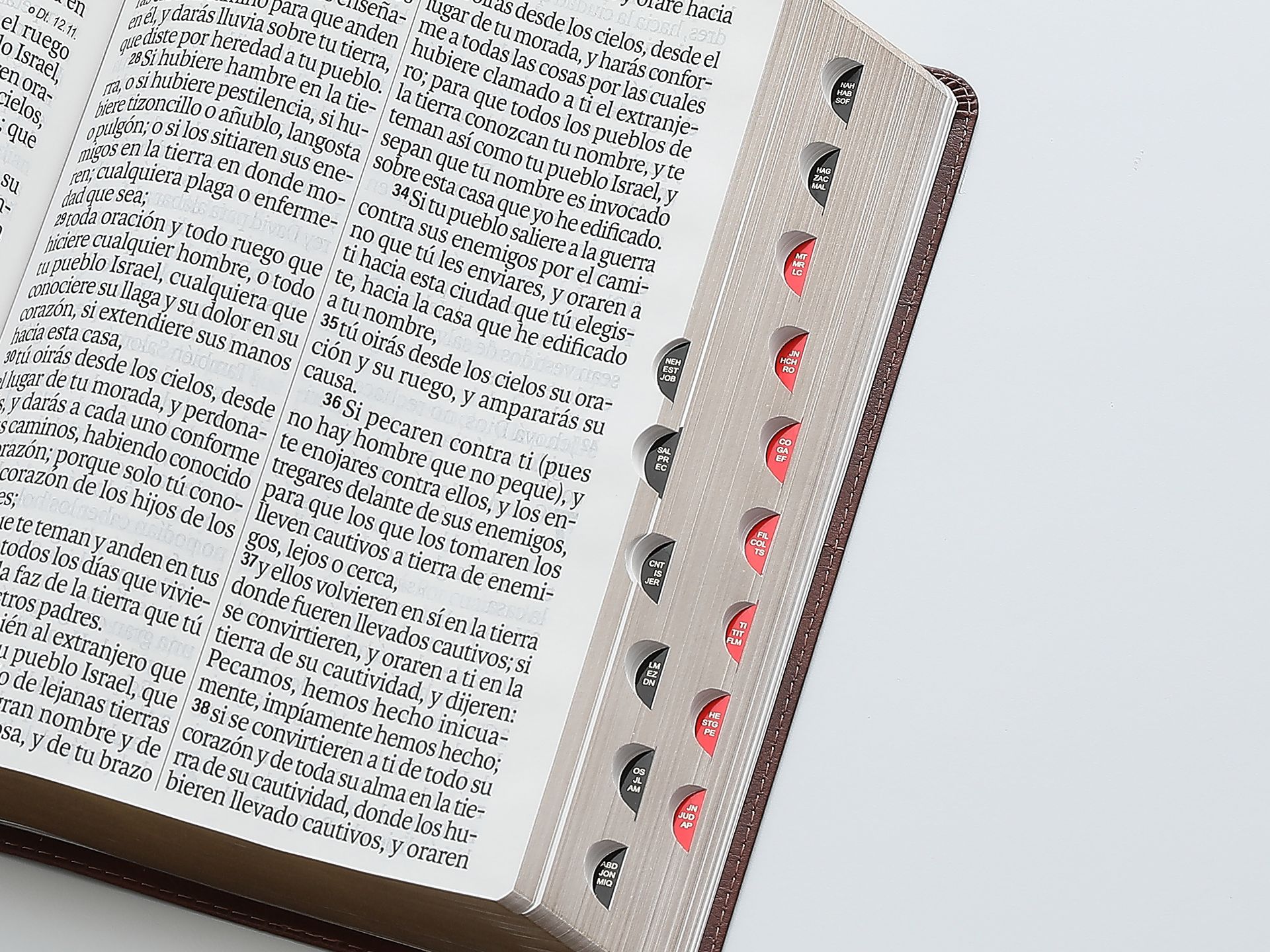 Biblia RVR1960 Efeso sup gig cafe GEO im piel índice 19pt