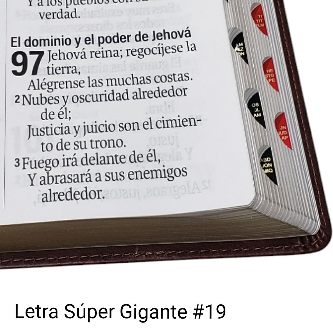 Biblia RVR1960 Efeso sup gig cafe GEO im piel índice 19pt