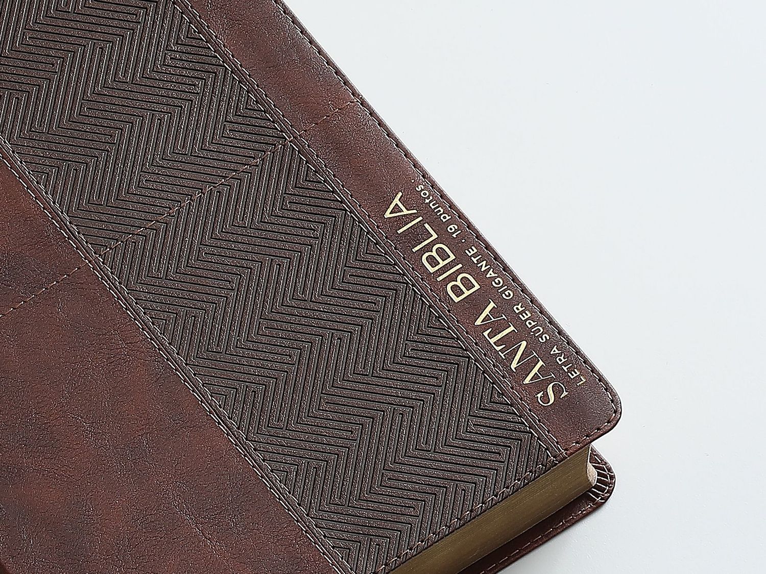 Biblia RVR1960 Efeso sup gig cafe GEO im piel índice 19pt