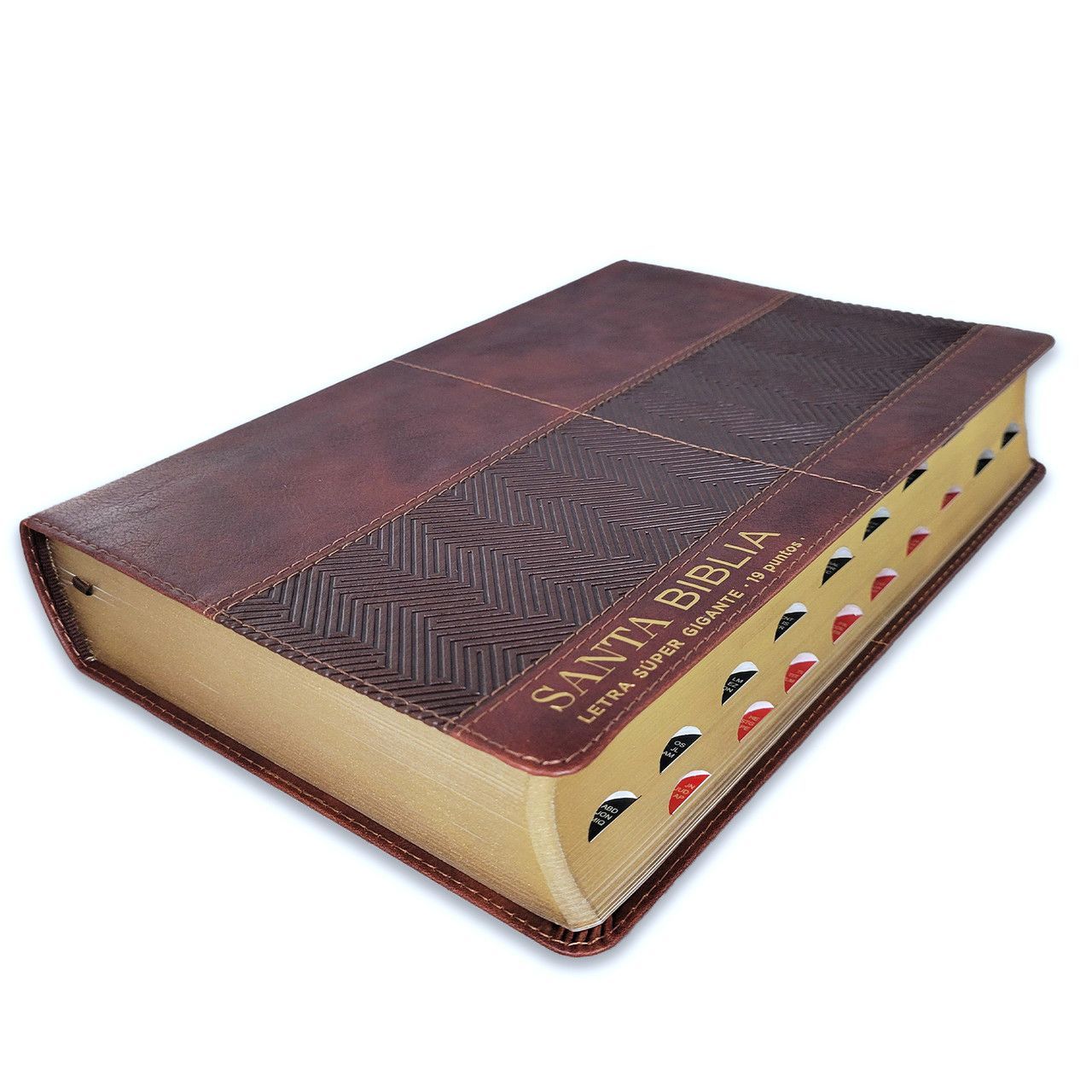 Biblia RVR1960 Efeso sup gig cafe GEO im piel índice 19pt
