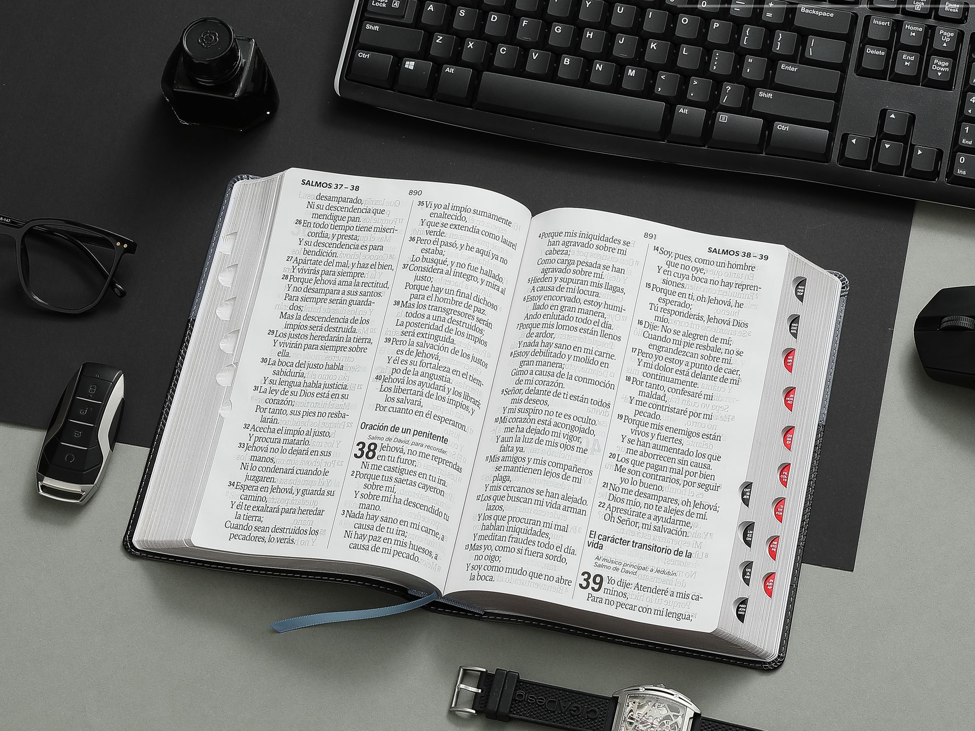 Biblia RVR1960 Efeso sup gig gris/negro GEO im piel índice 19pt