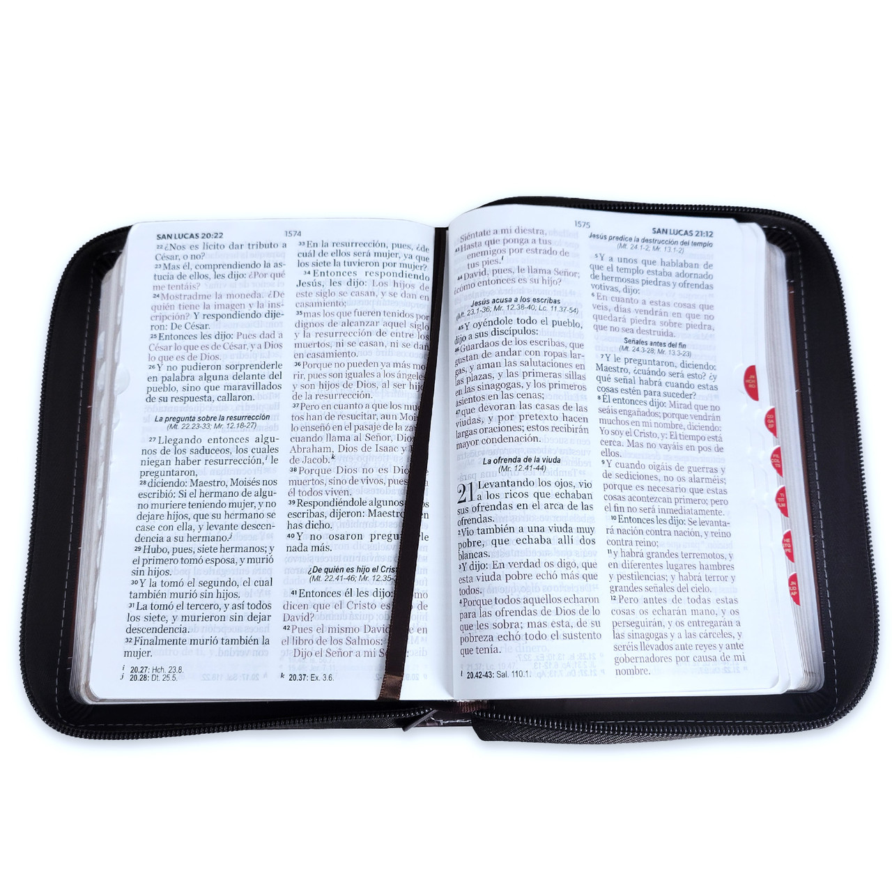 Biblia RVR1960 Entusiasmo cafe marron im piel cierre índice 11pt LGi PRJ