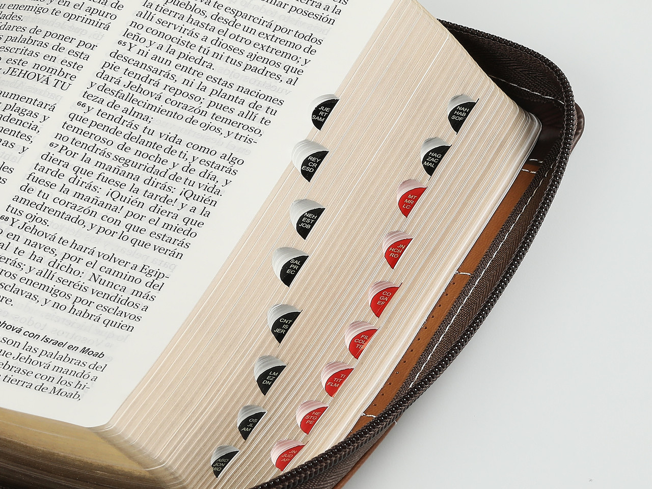Biblia RVR1960 Entusiasmo cafe marron im piel cierre índice 11pt LGi PRJ
