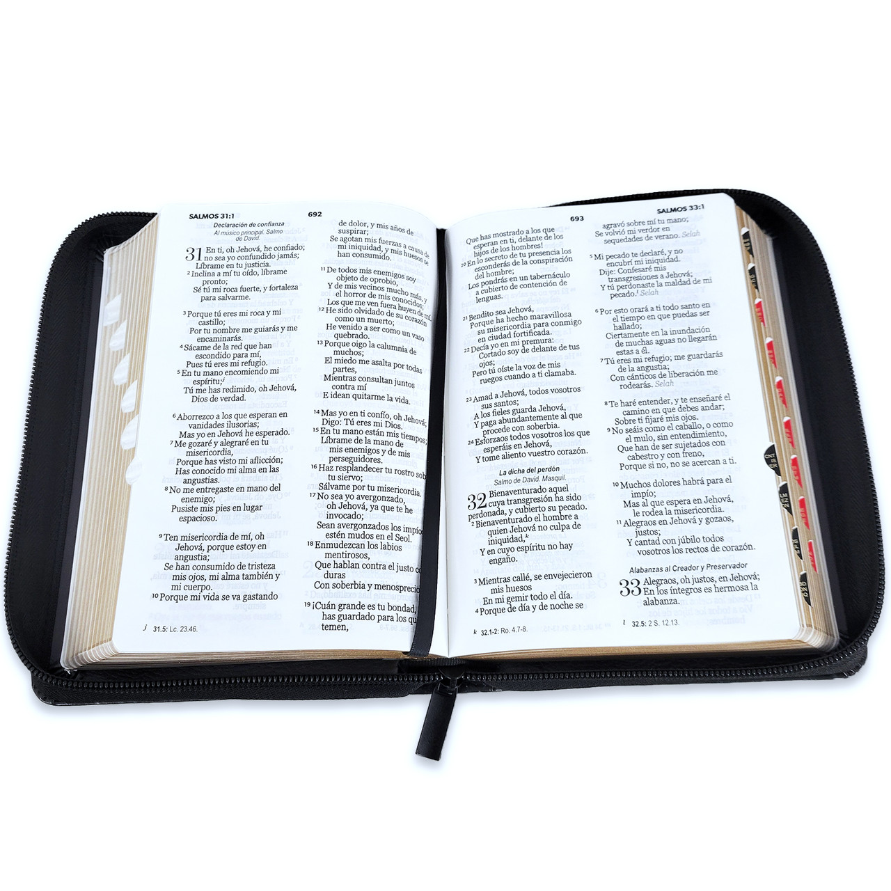 Biblia RVR1960 fortaleza aguila 2 im piel índice cierre 10pt