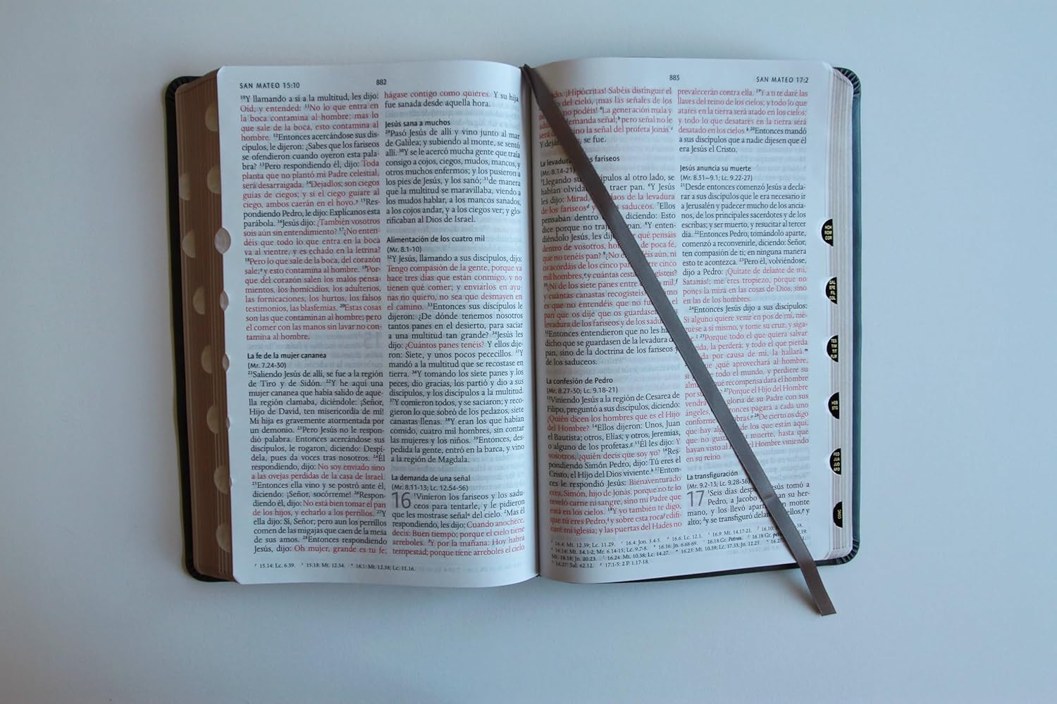 Biblia RVR1960 letra grande gris im piel índice 10.5pt