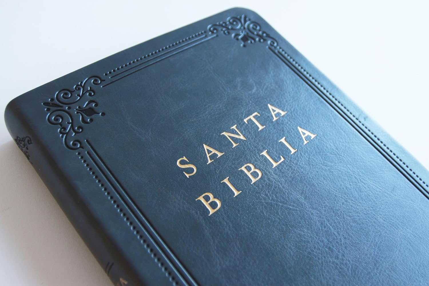 Biblia RVR1960 letra grande gris im piel índice 10.5pt