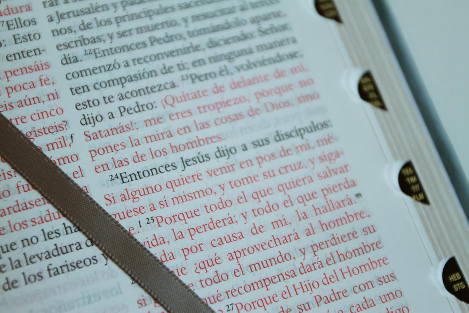 Biblia RVR1960 letra grande gris im piel índice 10.5pt