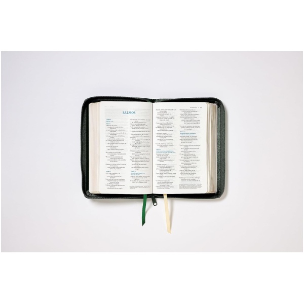 Biblia NVI 2022 piel revisada compacta con cierre - Image 4