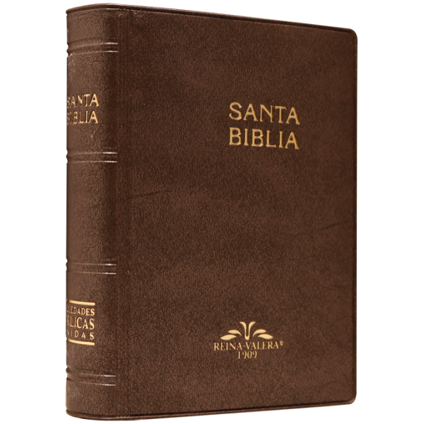 Biblia RV1909 bolsillo vinil cafe VR022LM 8P - Image 5