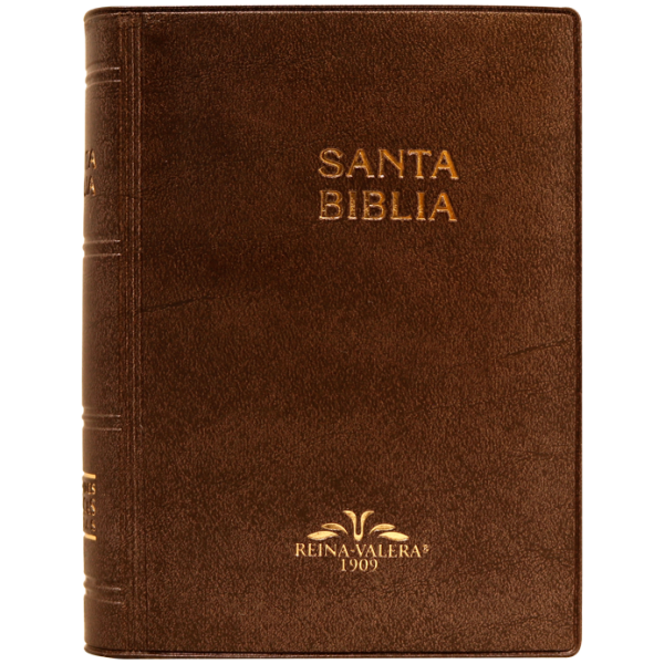 Biblia RV1909 bolsillo vinil cafe VR022LM 8P