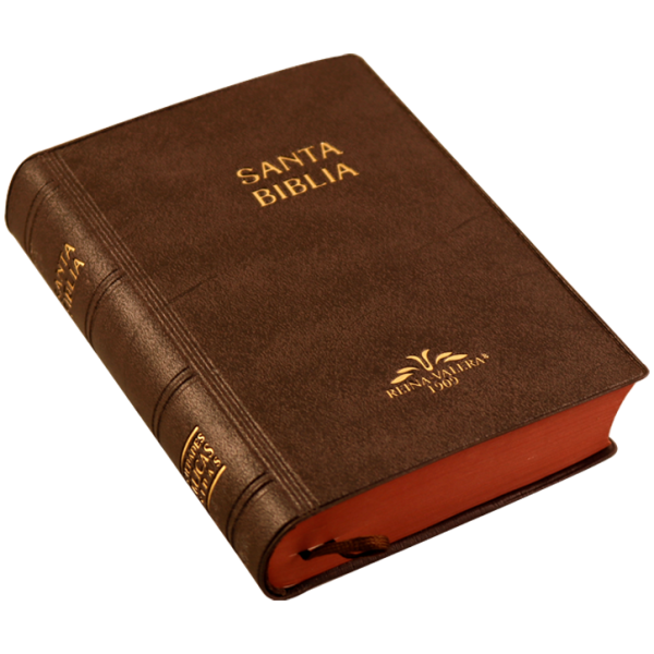 Biblia RV1909 bolsillo vinil cafe VR022LM 8P - Image 2