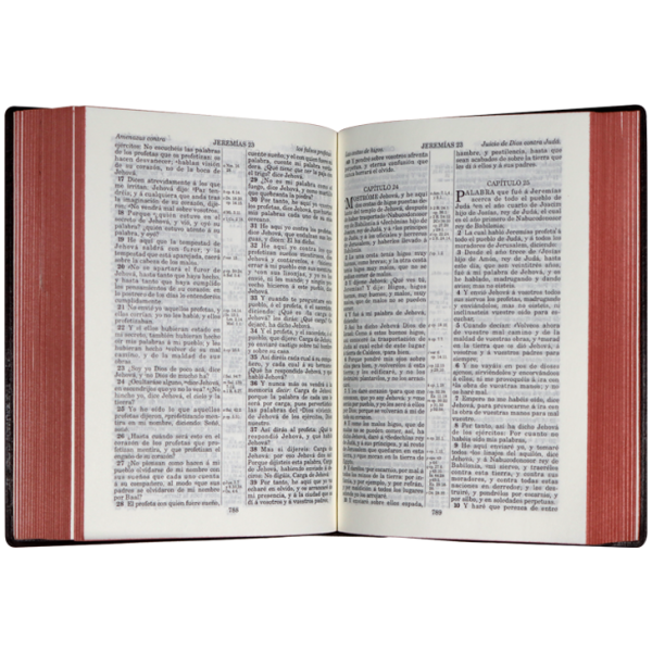 Biblia RV1909 bolsillo vinil cafe VR022LM 8P - Image 4