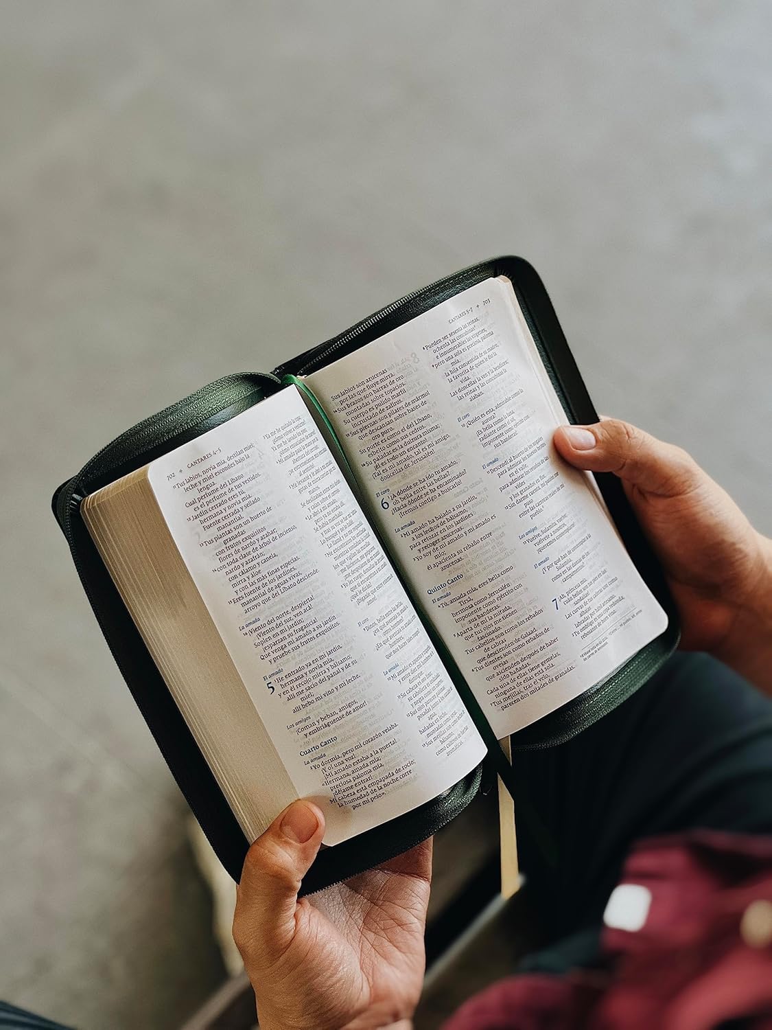 Biblia NVI 2022 piel revisada compacta con cierre