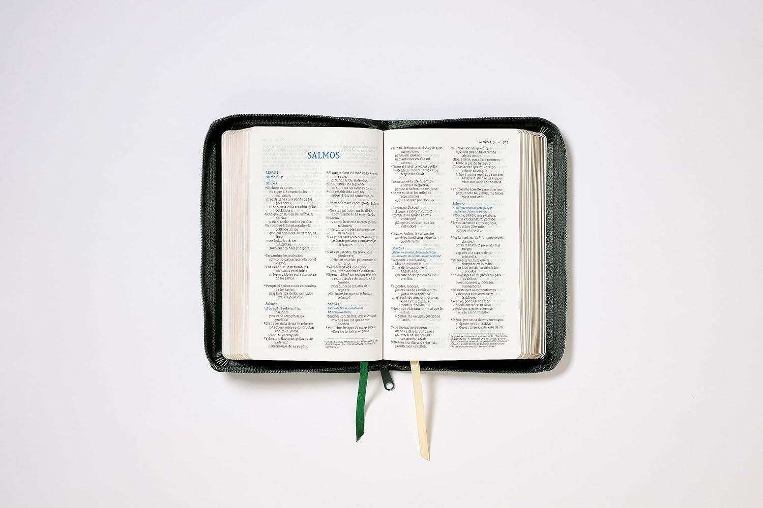Biblia NVI 2022 piel revisada compacta con cierre
