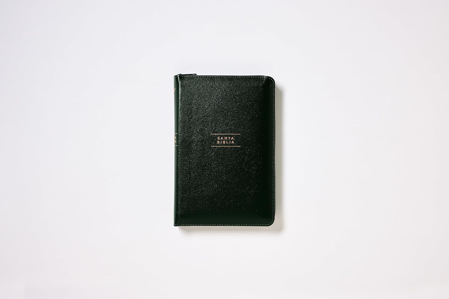 Biblia NVI 2022 piel revisada compacta con cierre