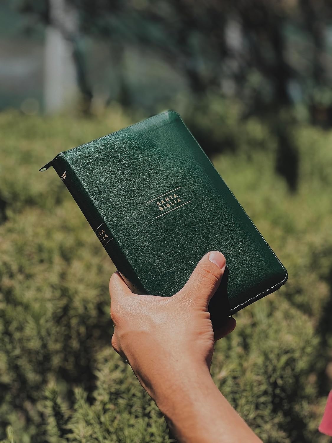 Biblia NVI 2022 piel revisada compacta con cierre