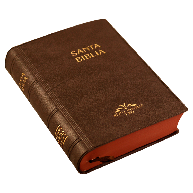 Biblia RV1909 bolsillo vinil cafe VR022LM 8P