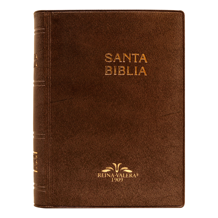 Biblia RV1909 bolsillo vinil cafe VR022LM 8P