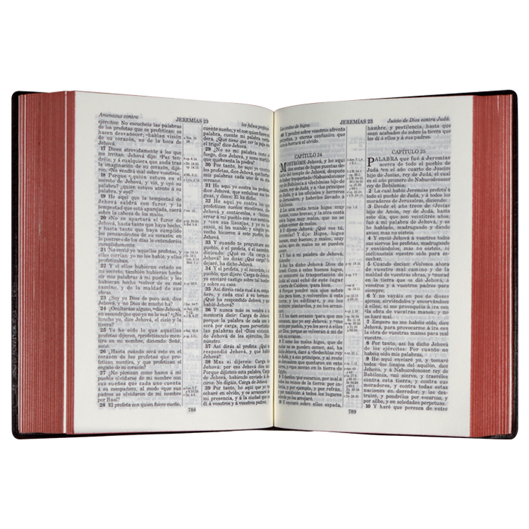 Biblia RV1909 bolsillo vinil cafe VR022LM 8P