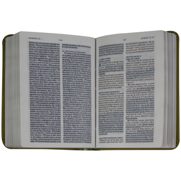 Biblia RVR1960 Mini bolsillo verde 6pt RVR.16LMPJR - Image 2