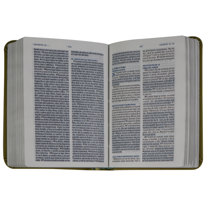 Biblia RVR1960 Mini bolsillo verde 6pt RVR.16LMPJR - Image 2