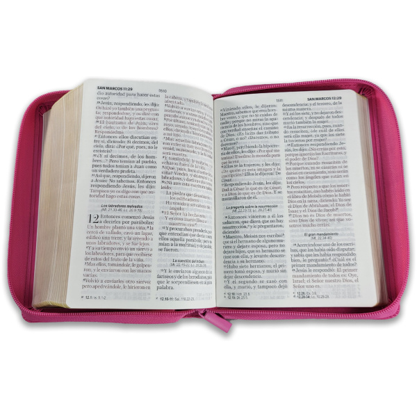 Biblia RVR1960 Clasica fucsia im piel cierre PJR 11pt - Image 3