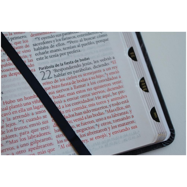Biblia RVR1960 León de Judá im piel índice manual 10.5pt - Image 3